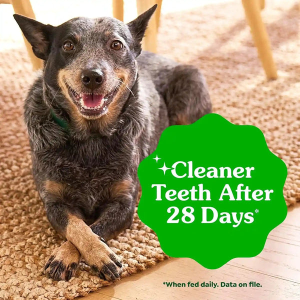 Greenies Teenie Original Natural Dental Dog Treats, Chicken, 192 Count | Clinically-Proven, Veterinarian-Recommended, 47% Less Tartar & 40% Less Plaque in 28 Days, for Dogs 5-15 Lbs, 54 Oz. Pack5