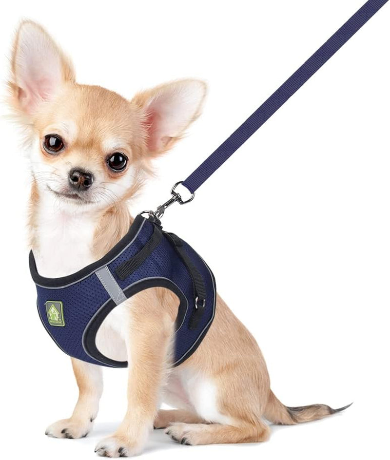feimax-dog-harness-and-leash-set-no-pull-breathable-soft-mesh-puppy-vest-harness-reflective-adjustable-pet-harnesses-for-small-medium-dogs-and-cats-outdoor-easy-control-for-walking