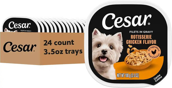 Cesar Filets in Gravy Wet Dog Food, Filet Mignon Flavor, 3.5 Oz, 24 Count | Real Beef, Easy to Digest, No Fillers, No Added Sugar, No Artificial Flavors, Slow-Cooked Tender Texture, Easy Peel Trays14