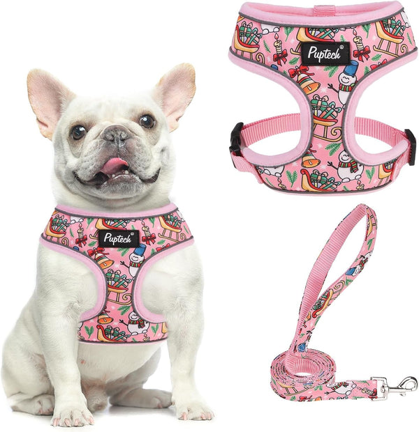PUPTECK Soft Mesh Dog Harness Small Sized and Leash Set Pet Puppy Cat Comfort Padded Vest No Pull Harnesses, Beige, S74