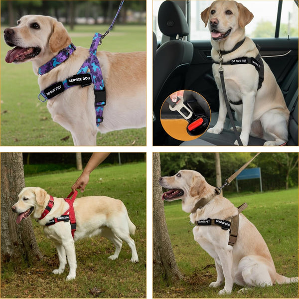 Annchwool No Pull Dog Harness,Heavy Duty Reflective Collar & Leash Set-Leash with Double Handle & Car Seatbelt Clip-Easy Control for Walking Training Medium Large Size Dogs(Brown,L)6