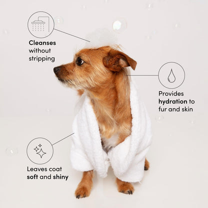 OUAI Fur Bébé Pet Shampoo - Cat & Dog Shampoo for Gentle Cleansing, Hydration & Shine - Vegan & Cruelty-Free Pet Supplies with Aloe Vera & Panthenol - Mercer Street Scent (16 Fl Oz)2
