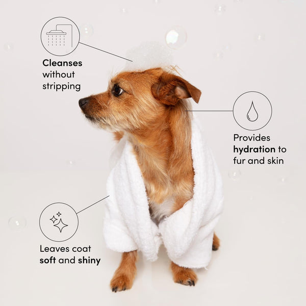 OUAI Fur Bébé Pet Shampoo - Cat & Dog Shampoo for Gentle Cleansing, Hydration & Shine - Vegan & Cruelty-Free Pet Supplies with Aloe Vera & Panthenol - Mercer Street Scent (16 Fl Oz)2