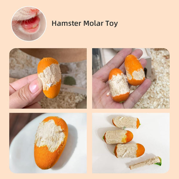 Niteangel Hamster Chew & Decor Toys: Pack of 6 Carrot-Shape & Beech Wood | Chew-Friendly Design to Control Tooth Overgrowth for Syrian Dwarf Hamster Gerbils Mice Lemming Degu or Other Small-Sized Pets4