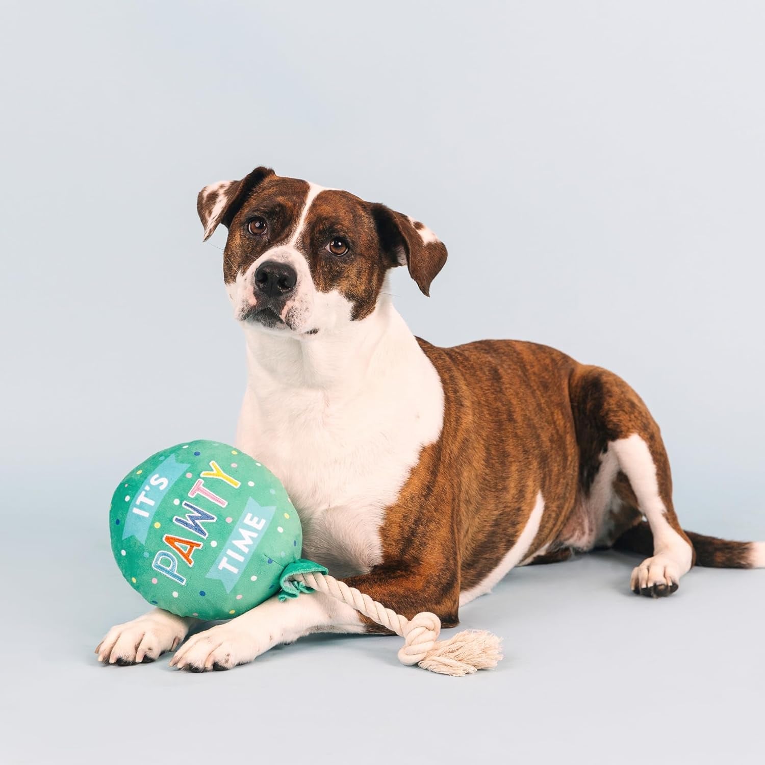 fringe-studio-plush-dog-toy-i-pawty-you-pawty-pet-shop-collection-314210