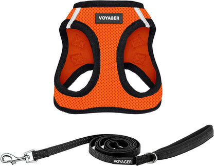 Best Pet Supplies Voyager Step-In Air All Weather Mesh Harness and Reflective Dog 5Ft Leash Combo with Neoprene Handle, for Small, Medium and Large Breed Puppies - Baby Blue, Small15