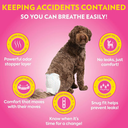 OUT! Petcare Female Dog Diapers, Disposable Dog Diapers, M/L, 32 Count | Dog Diaper, Potty Training, Incontinence Support, Leak Proof, Puppy Training, Dog in Heat, Disposable Protection, Secure Fit3