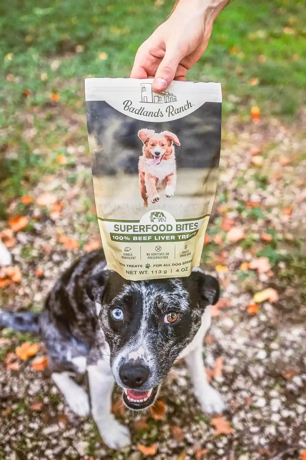 badlands-ranch-by-katherine-heigl-superfood-bite-freeze-dried-raw-beef-liver-dog-treats-high-protein-single-ingredient-snacks-for-training-rewards-daily-wellness