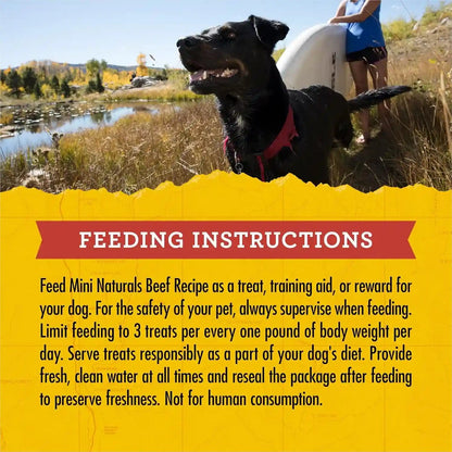 Zuke’S Mini Naturals Soft and Chewy Dog Treats for Training Pouch, Natural Treat Bites with Beef Recipe - 6 Oz. Bag10