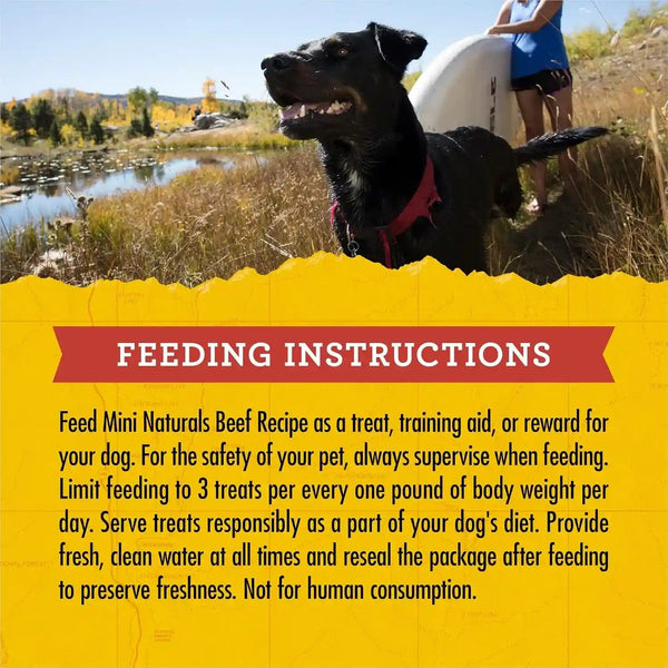 Zuke’S Mini Naturals Soft and Chewy Dog Treats for Training Pouch, Natural Treat Bites with Beef Recipe - 6 Oz. Bag10