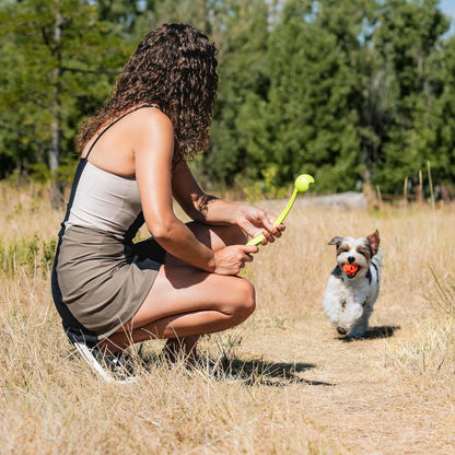 Chuckit! Sport 14S Ball Launcher for Small Dogs, 14-Inch Manual Thrower with 2-Inch Ball, Fits Dogs up to 20 Lbs2