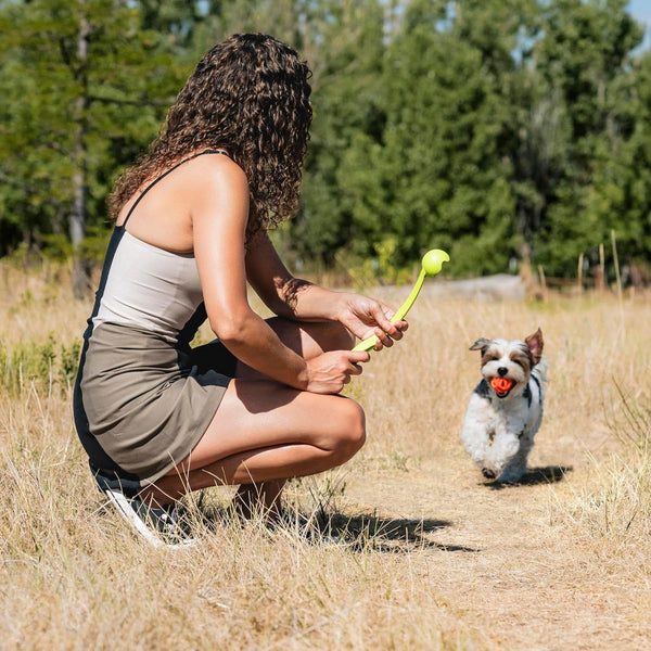Chuckit! Sport 14S Ball Launcher for Small Dogs, 14-Inch Manual Thrower with 2-Inch Ball, Fits Dogs up to 20 Lbs2
