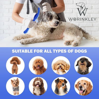 Slicker Brush for Dogs, Professional Pet Doodle Grooming Brushes for Goldendoodles, Labradoodles, Poodles - Long Pin Detangler for Dematting Dog Slicker Brush - Large6
