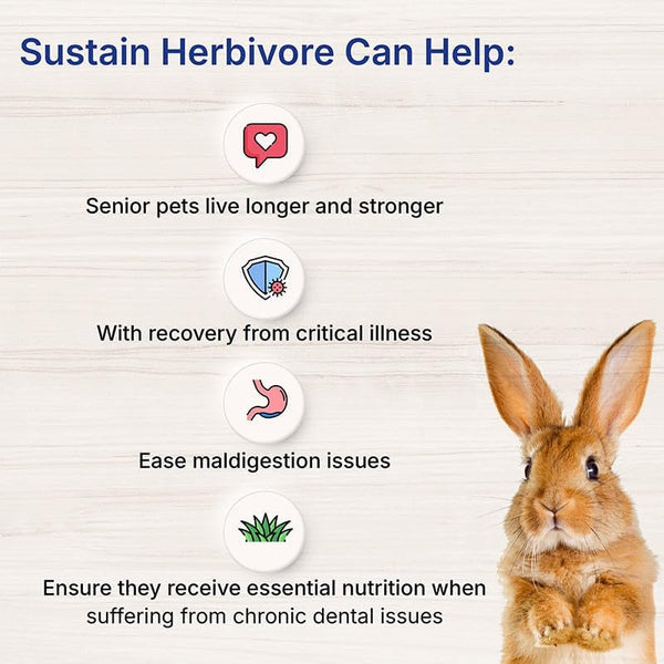 Sustain Herbivore (100 G, Apple & Banana) | Nutritionally Complete Recovery Food for Herbivorous Small Pets and Reptiles4