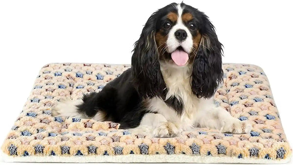 Mora Pets Dog Crate Pad - Ultra Soft Pet Bed with Cute Star Print, Washable Mat for Large Medium Small Dogs, Reversible Fleece Kennel Liner, Cat Bed 23 X 18 Inch Brown30