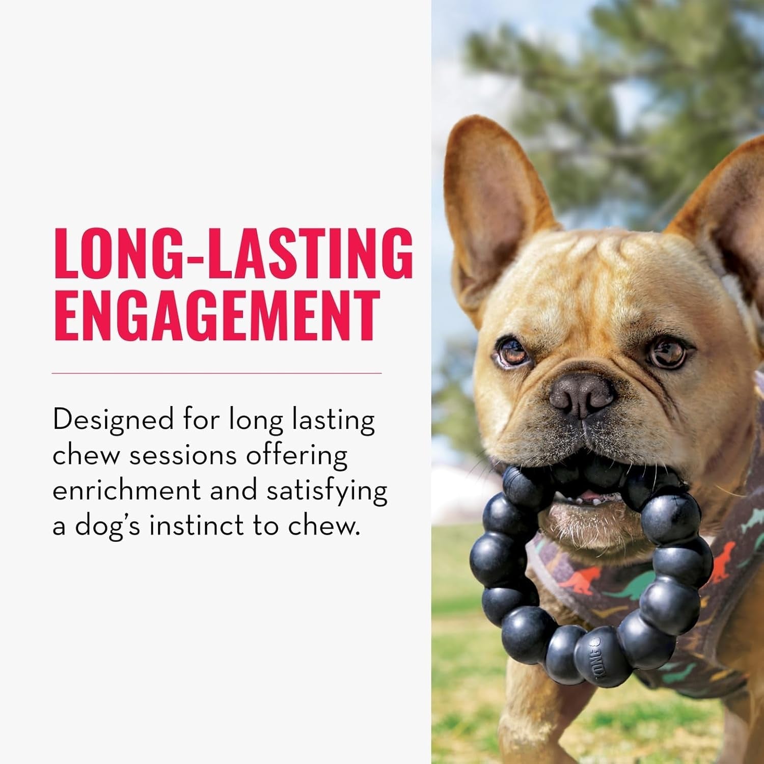 kong-extreme-ring-durable-natural-rubber-ring-toy-for-healthy-chewing-habits-chew-toy-supports-dog-dental-health-dog-toy-supports-instincts-during-playtime-for-xl-dogs