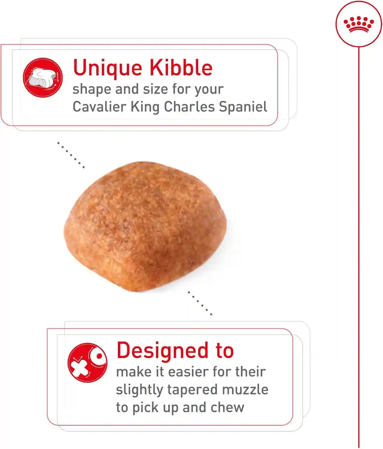 royal-canin-breed-health-nutrition-cavalier-king-charles-spaniel-adult-dry-dog-food-10-lb-bag-specialized-kibble-shape-supports-heart-health-formulated-for-breed-specific-needs-10-lb-resealable-bag