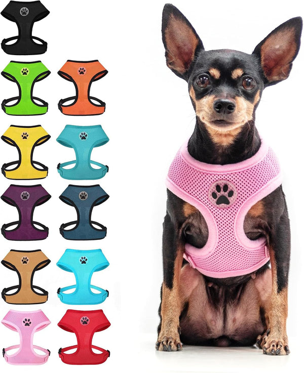 BINGPET Small Dog Harness, No Pull Dog Harness Small Sized Dogs, Soft Light Breathable Mesh Puppy Vest with Safety Buckle-Adjustable Step in Pet Harnesses for Easy Walking, Running, Training28