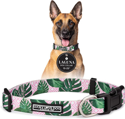 Lucky Love Dog - Easy Click Buckle Dog Collar with Leash Set Combo, Durable & Comfortable for Male & Female Dogs, Pet Collar for Medium Dogs, Secure Fit - Blackbird Combo, Medium37