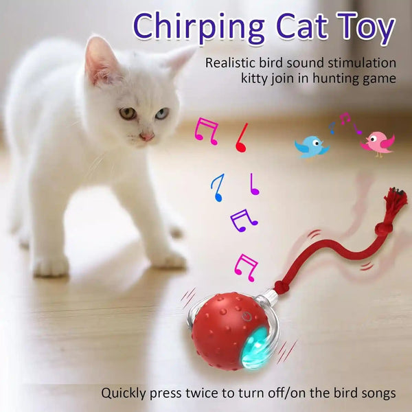 Giociv Interactive Cat Toys Ball for Indoor Cats Fast Rolling on Carpet, Chirping & Motion Activate Cat Toys (Red)5