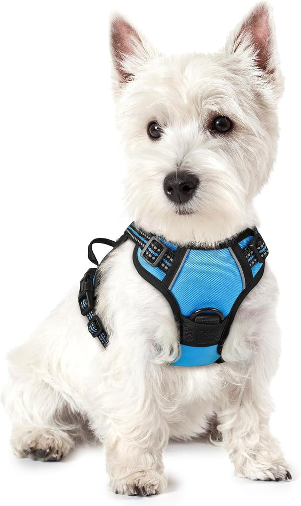 Rabbitgoo Dog Harness, No Pull for Large Dogs with 2 Leash Clips, Pet Vest | No Choke with Handle, Adjustable Soft Padded, Reflective, Easy Control for Walking, Black, Large122