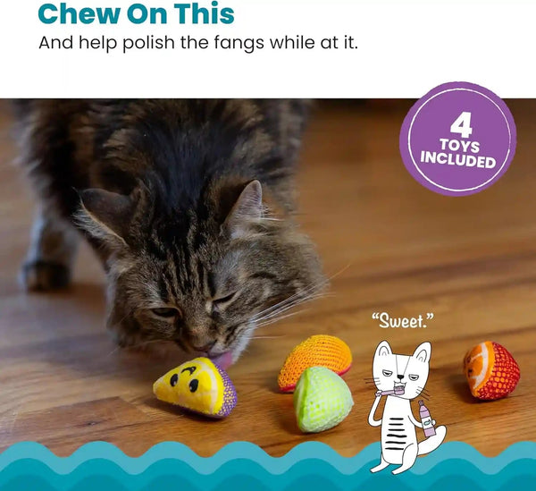 Catstages Dental Fruit Wedges 4 Pk, Soft and Textured Catnip Chew Toys That Help Clean Teeth, Multicolored2