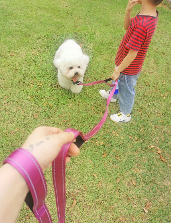 3 Handle Dog Leash 10FT Triple Handle Reflective Large Medium Dog | Multi Handles Heavy Duty Training Lead with Padded Traffic Handles for Control and Safety9