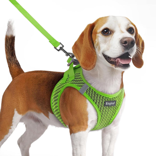 Eagloo Small Dog Harness and Leash Set, Step in Small Sized Puppy Pet Vest | Light, Soft, Breathable Air Mesh, Easy on and off with Hook & Loop, Reflective for Safe Walking, Pink, S18