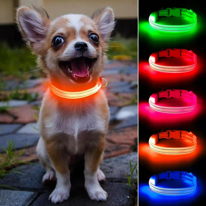 Light up Dog Collar for Small Dogs& Cats, Reflective LED Dog Collar Rechargeable Glowing Puppy Collar Safety Dog Lights for Night Walking (Royal Blue)12