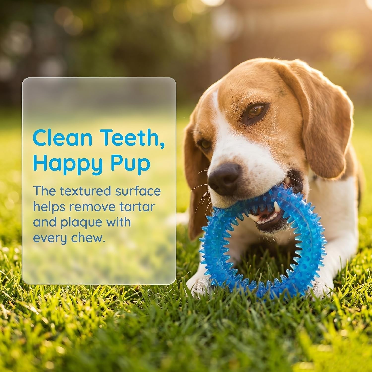 beiker-20-pack-puppy-chew-toys-blue-dog-teething-toys-for-puppies-puppy-teething-rings-and-ropes-rubber-toy-bundle-for-small-dogs-cute-interactive-dog-balls-for-small-breed