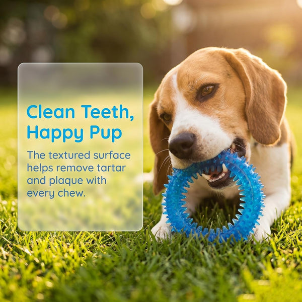 Beiker 20 Pack Puppy Chew Toys - Blue Dog Teething Toys for Puppies, Puppy Teething Rings and Ropes, Rubber Toy Bundle for Small Dogs, Cute Interactive Dog Balls for Small Breed4