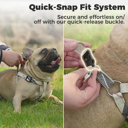 BINGPET Dog Harness Collar Leash Set,Adjustable No Pull Escape Proof Small Dog Harness,Classic Plaid Puppy Harness and Leash Set for Small Medium Large Dogs Training Easy Walk Running(Beige,S)4