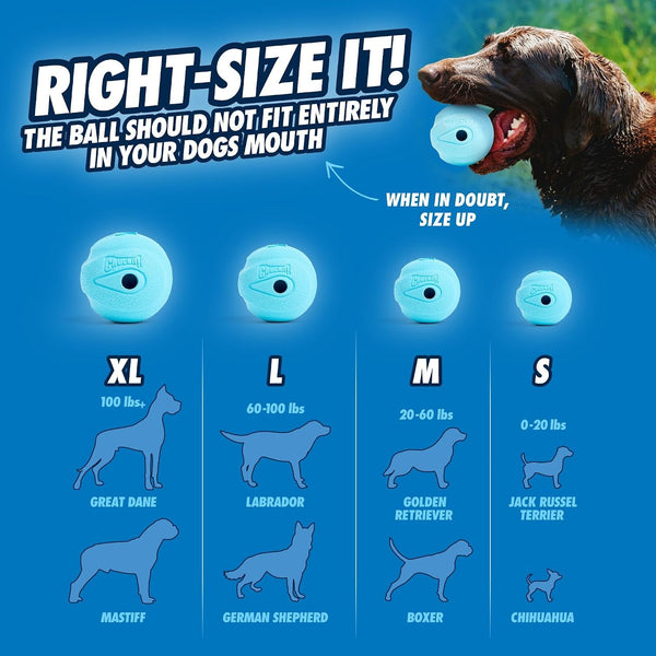 Chuckit! the Whistler Ball Dog Toy, Medium (2.5 Inch Diameter) for Dogs 20-60 Lbs, Pack of 2, Multicolor5