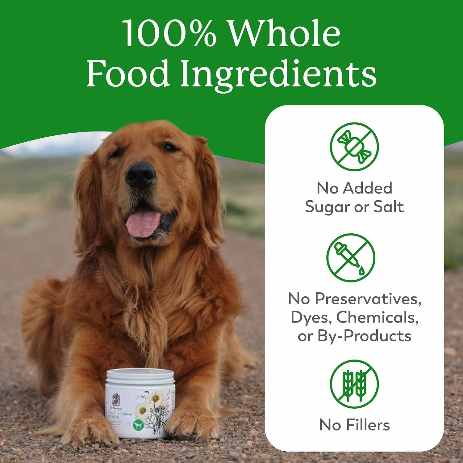 dr-harveys-herbal-multi-vitamin-and-mineral-supplement-for-dogs-7-ounces