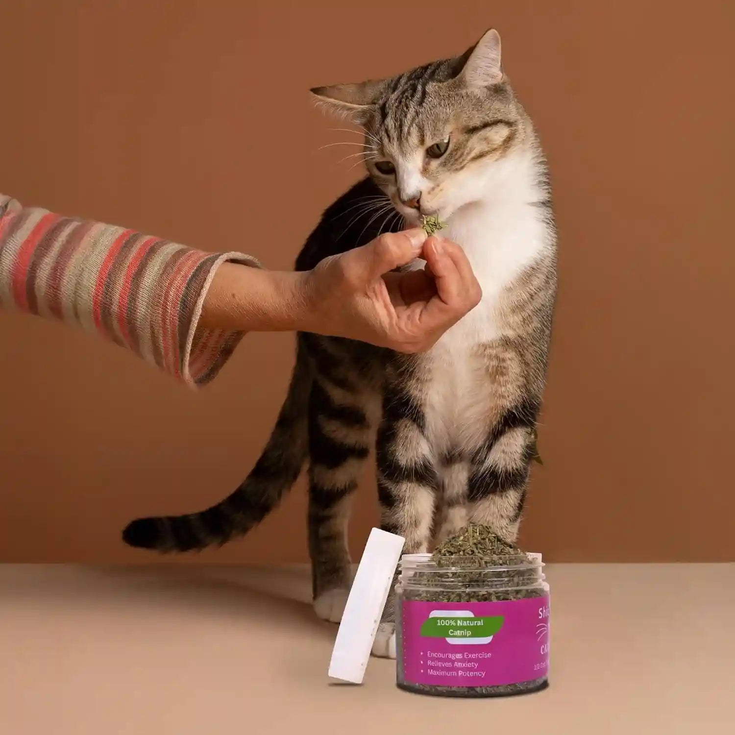 catnip-for-cats-with-leaves-and-flower-seeds-100-natural-and-organic-catnip-premium-cat-nip-for-cats-kittens-used-as-a-snack-or-refillable-catnip-treats-for-cats-1-2-cup
