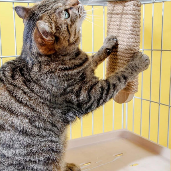 Cat Climbing Steps Scratching Tree - 2Pcs Scratching Steps Sisal Hemp Cage Shelf Ladder Pets Perch Furniture inside the Cage with Install Screws (S)8