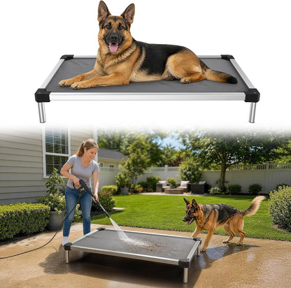 FXW Titannest Padded Chew-Proof Elevated Dog Bed for Large Dogs | Easy to Clean, Pre-Assembly Raised Cot, Indoor/Outdoor/Camping, 47 X 29 X 7.3In1