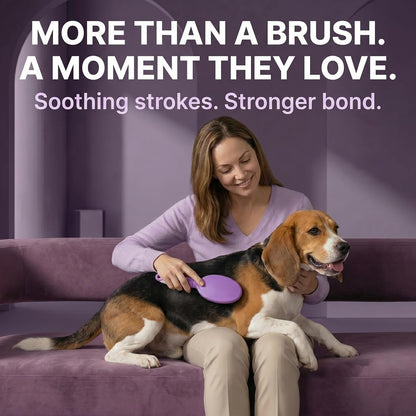 Soft Bristle Dog Brush for Short Haired Cats or Dogs - Firm Bristles to Remove Dust, Dirt, and Loose Fur - Hook and Rubber Handle2