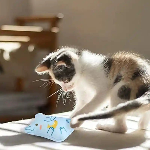 Catnip Toys for Indoor Cats - 5PCS Plush Cat Chew Toys Teething Interactive Catnip Filled Kitten Toy Soft Pet Toy7