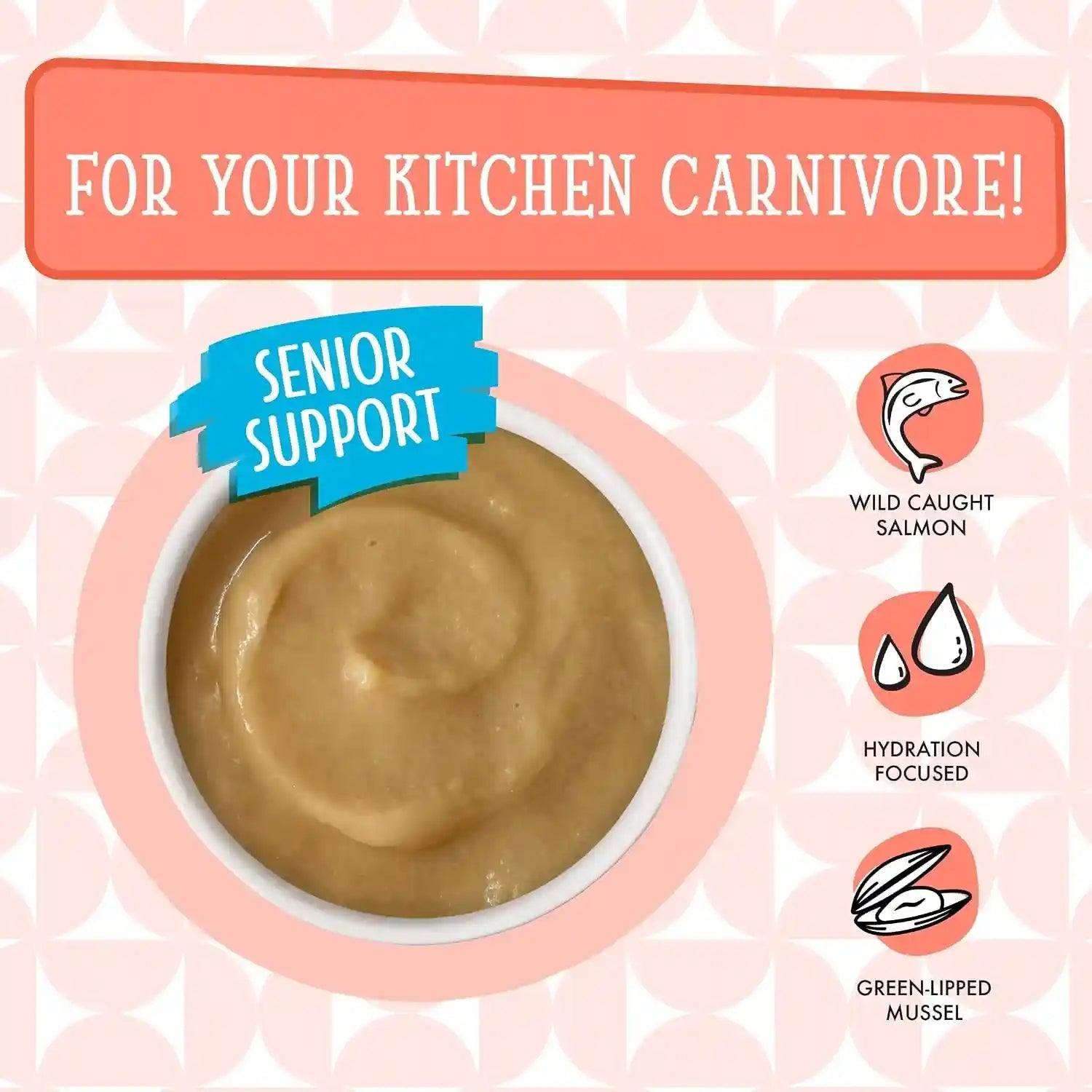weruva-cats-in-the-kitchen-pantry-pours-salmon-bisque-with-senior-support-1-4oz-pouch-pack-of-12