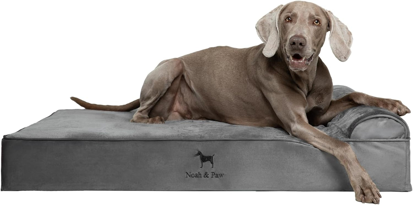 noah-paw-large-dog-bed-35x25x8-7-inch-orthopedic-dog-beds-eggshell-memory-foam-infused-with-cooling-gel-water-resistant-machine-washable-includes-inner-cover-velvet-collection