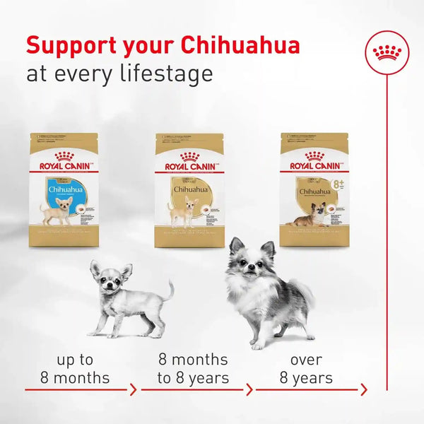 ROYAL CANIN Breed Health Nutrition Chihuahua Adult Dry Dog Food, 2.5 Lb Bag | Breed Specific Nutrition, Supports Healthy Digestion, Small Kibble Size for Tiny Jaws, Ideal Weight Maintenance8
