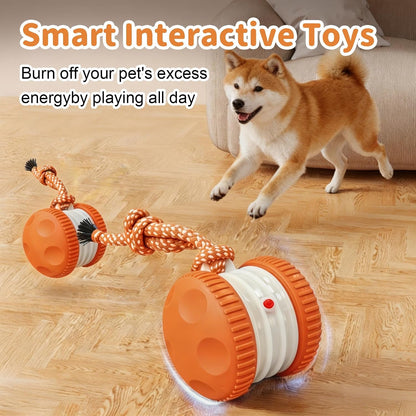 Interactive Dog Toys, Automatic Rolling Ball with Rope, Orange | Motion-Activated Play, Random Path Electric Dog Ball, Bird Sounds, Mental Stimulation for Boredom Relief3