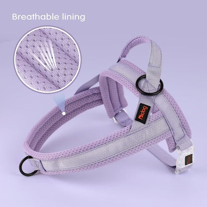 Didog No Pull Dog Harness with Breathable Mesh Padded, Quick Fit & Easy on Dog Vest Harness for Small Medium Large Dogs Training Walking(Purple,Xs)3