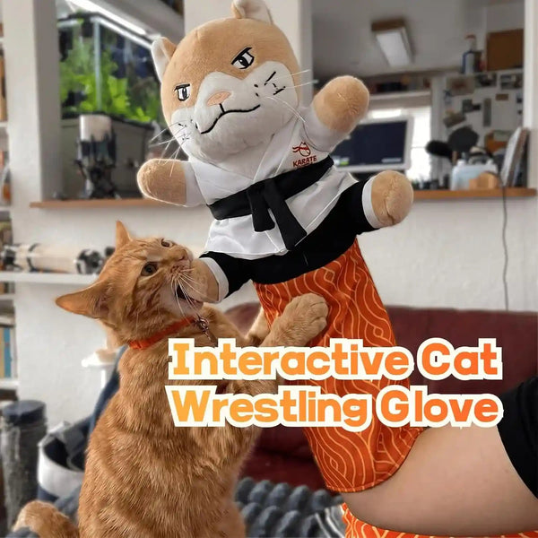 KARATE KITTY Cat Wrestling Glove & Puppet Toy with Arm Sleeve | Interactive Boxing Cat Toy with Arm Sleeve, Puppet-Style Motion, Crinkle Ears and Catnip Pocket for Active Indoor Play2