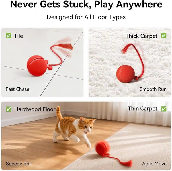 Cheerble Interactive Cat Toy Ball, Smart Automatic Electric Cat Toys for Indoor Cats with 3 Speeds, Chirping Moving Motion Activated Teaser Rolling Ball Toy for Cats/Small Dog to Keep Them Busy5