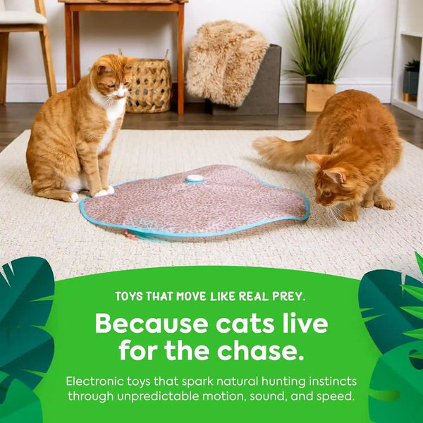 Smartykat Hidden Hijinks Toy for Indoor Cats & Kittens, Electronic Interactive Motion Toy, Featuring Teaser Wand, plus Replaceable Batteries Included5