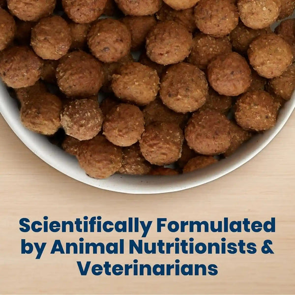 Blue Buffalo Nudges Beef & Rice Homestyle Natural Dog Treats, Meatball-Inspired Recipe, Healthy Reward or Training Treat, Made in the USA with Real Beef, No Artificial Preservatives, 16 Oz.5