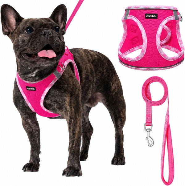AMTOR Small Dog Harness with Leash Set, No Escape Easy Walk Puppy Harnesses for Training Walking, Step-In Reflective Soft Dogs Vest for XS S Medium Extra-Small Large Sized Dog(Green,S)18