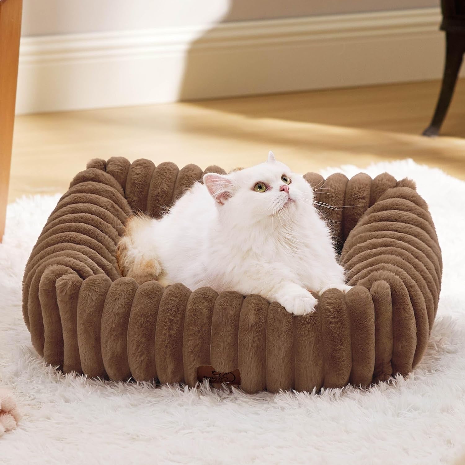 bedsure-comfyfleece™-cute-dog-bed-for-small-medium-dogs-washable-25in-cream-furry-puppy-beds-square-rectangle-orthopedic-corduroy-aesthetic-pet-beds-removable-zipper-cover-non-slip-bottom-up-to-15-lbs